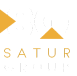 satur group лого